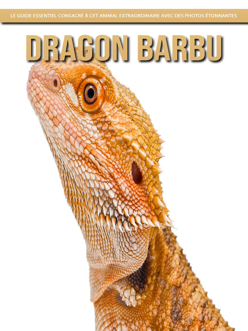 Title details for Dragon Barbu by Claudia Santopaolo - Available